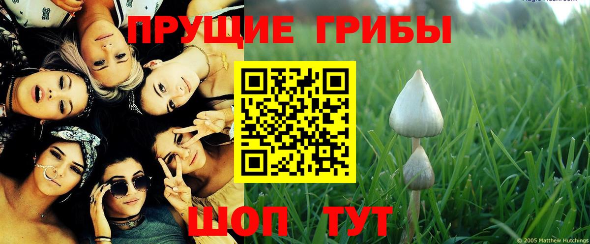 Кирово-Чепецк  Галлюциногенные грибы Magic Shrooms  Вход с VPN 