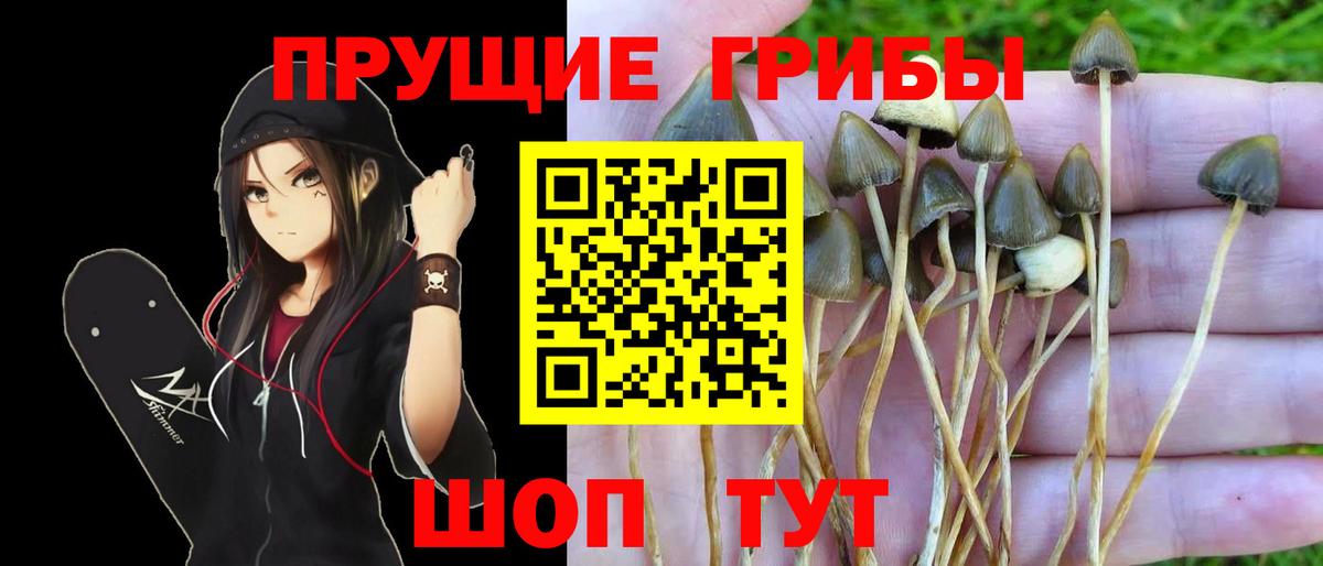 Галлюциногенные грибы GOLDEN TEACHER Кирово-Чепецк